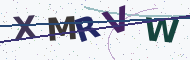 Verification code: distorted characters